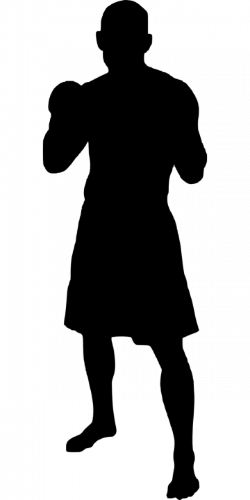 Boxschule Matrix - Philipp Voglersport-3414790_1280
