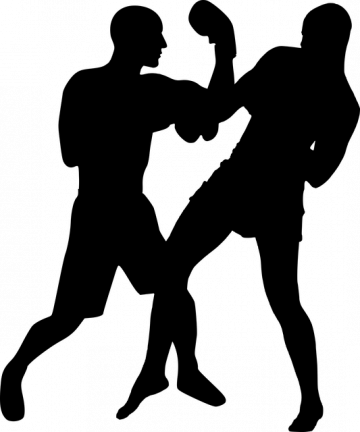 Boxschule Matrix - Philipp Voglersilhouette-3715013_640