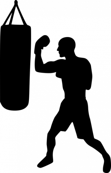 Boxschule Matrix - Philipp Voglerboxing-4237010_640
